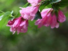-云蒙山风景区