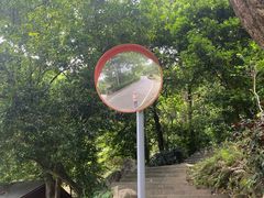 -火炉山森林公园