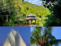 -亚龙湾热带天堂森林公园