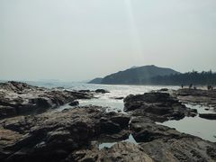 -盐洲岛