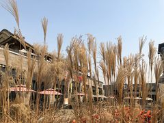 -薇酌饮·陕西菜(南门外店)