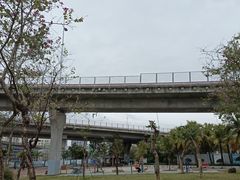 -中澳友谊花园