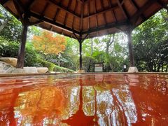 -天目湖涵田半山温泉