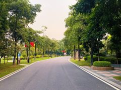-海珠湖公园