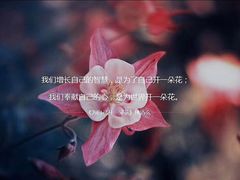 -苗祖咖啡(洛克时代中心店)