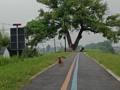 -乌龙涧铁道铁轨景