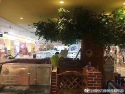 -波比一号儿童乐园(圣熙8号店)