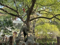 -南岳衡山风景名胜区-南岳大庙