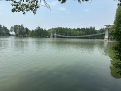 -东湖落雁景区