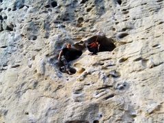 iphone_upload_pic-阳朔岩邦攀岩户外运动俱乐部(西街店)