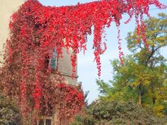 -辽宁大学(崇山校区)
