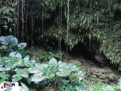 -海口火山口国家地质公园