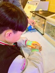 -神奇动物撸宠馆·羊驼·小浣熊·异宠(豫园店)
