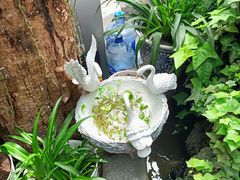-丽江庭院之丽江往事(安定门店)
