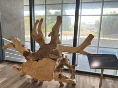-香市公园-中国沉香文化博物馆