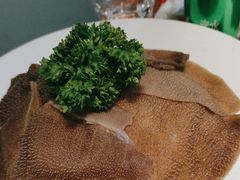 -华晟山城火锅(开发区港西东阁里店)
