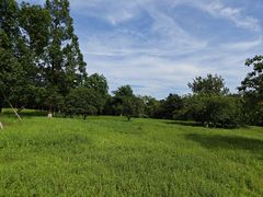-良渚古城遗址公园