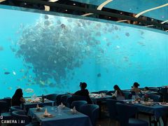 -瑞德姆美人鱼海底演艺主题餐厅(亚龙湾店)