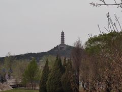 -北坞公园