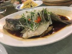 清蒸鲈鱼-香丰阁·烤鸭·川湘菜(清河店)