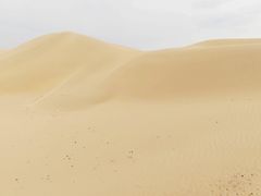 -银肯塔拉沙漠生态旅游景区