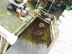 -杭州西湖风景名胜区-满觉陇四眼井