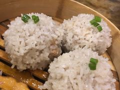 大力丸-风波庄(洪家楼店)