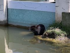 -春花秋色城市公园