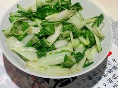小白菜-壹盏灯(惠农店)