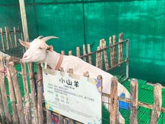 -史努比缤纷世界