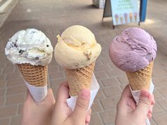 -Dooley's Premium Ice Cream