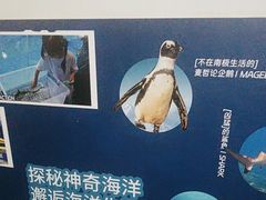-重庆欢乐海底世界