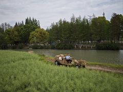 -乌村