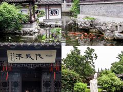 -溱湖国家湿地公园