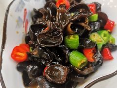 酸辣木耳-老鄞江清水龙虾•赵赵家(江北店)