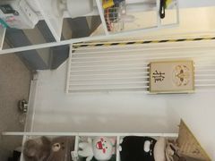 -豆老板的猫咖啡(碑林博物馆店)