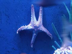 -沈阳海洋探索中心