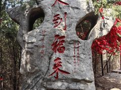 -浮来山风景区