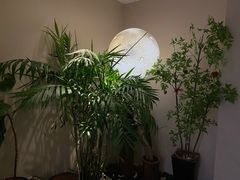 -Lazy Time Massage南亚按摩小馆(大悦城店)