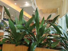 -渔民新村(番禺总店)