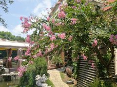 -漫渡庄绿岛花园•隐世庭园菜(滨湖店)