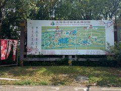 -上海海湾国家森林公园