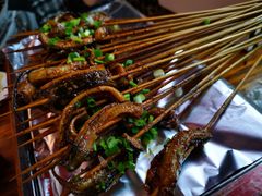 鳝鱼-晓靖轩烧烤(沙河风情店)