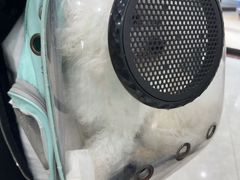 -安安宠医宠物医院·异宠·犬猫内科(岳阳分院)