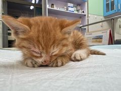 -天津前进宠物医院(前进道店)