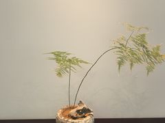 -赣湘院子·竹林院子餐厅•山野赣菜田园湘菜(国贸大望路店)