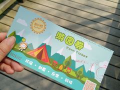 -前小桔亲子创意农场·草莓采摘·露营烧烤