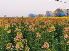 -中国天府农业博览园