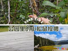 -普达措国家公园