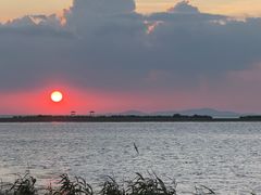 -西京湾花海